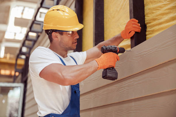 Best Siding Repair  in Inesville, GA